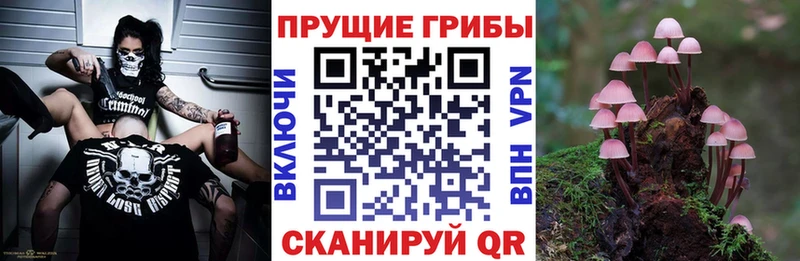 Псилоцибиновые грибы прущие грибы Володарск